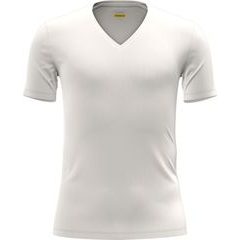 ICEBREAKER M Anatomica SS V UNDYED