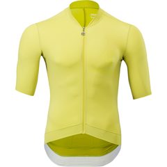 SILVINI ANSINO, olive