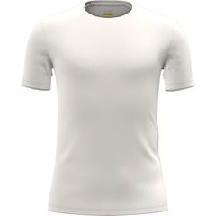ICEBREAKER M Anatomica SS Crewe UNDYED