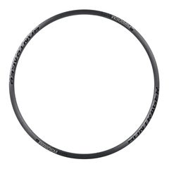 BONTRAGER Paradigm Elite Disc 700C 24H Antrhacite/Black