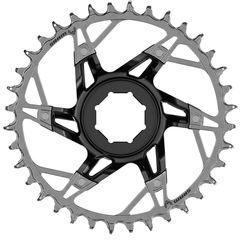 SRAM CR XX BROSE DM 36T T-TYPE