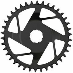 FSA E-Bike DM MT steel 1x 36t SH12
