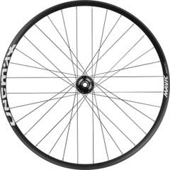 MAVIC DEEMAX PARK 29 DISC 6-BOLT BOOST REAR HG