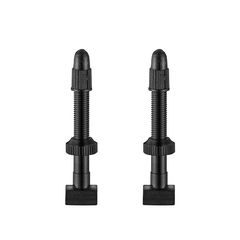 GIANT TUBELESS VALVE STEMx2 FOR 42MM HIGH PROFILE RIM