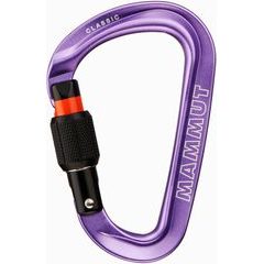 MAMMUT Classic HMS Screwgate Carabiner Screwate, alpine calamint