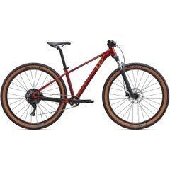 LIV Tempt 29 2 Mars Dust