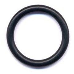 MSR FUEL BOTTLE STV PMP O-RNG