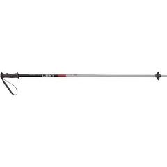 LEKI Rental Classic Kids, anodized natural silver-eloxal black