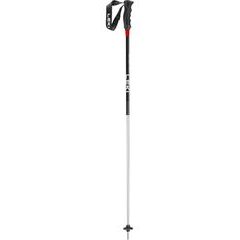 LEKI High Performance Rental, anodized natural silver-black