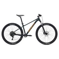 GIANT Talon 29 2 Asphalt Green
