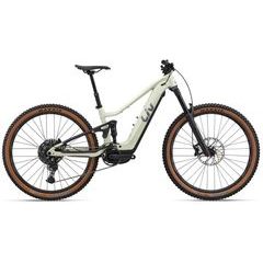 GIANT Embolden E+ 1 BOX L Pale Moss