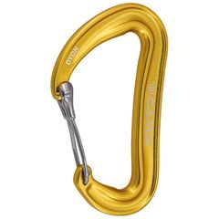 CAMP Dyon; yellow