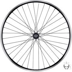 FORCE CLASSIC 622x19 "V" F804321 36d
