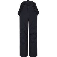 HANNAH Akita Jr II, anthracite II