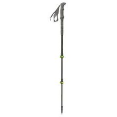 PINGUIN Carbon FL foam Carbon/Green