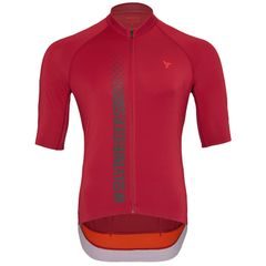 SILVINI MD2424 Mazzano merlot-ruby