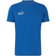MAMMUT Mountain T-Shirt Men Bluemlisalphorn tschiel