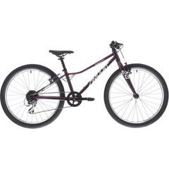 AMULET 24 Tomcat SH, royal purple/silver