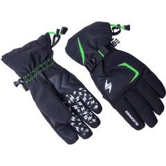 BLIZZARD Reflex ski gloves, black/green