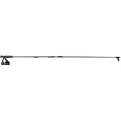 LEKI Rental Skating, polished aluminum-black