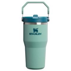 STANLEY IceFlow™ Flip Straw 2.0 Tumbler 600 ml Spring Green