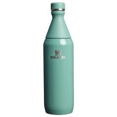 STANLEY All Day Slim Bottle 600 ml Spring Green Gloss