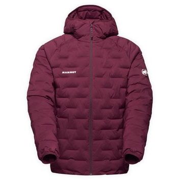 MAMMUT Sender IN Hooded Jacket Men vin