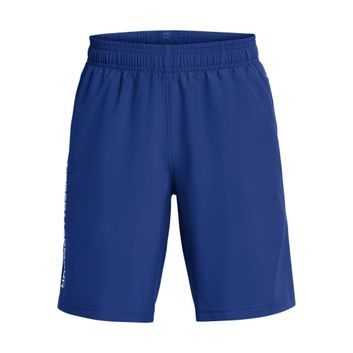 UNDER ARMOUR UA Tech Woven Wordmark Short-BLU