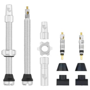 WOLF TOOTH Tubeless Valve Stem Kit 60mm Raw Silver