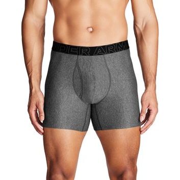 UNDER ARMOUR M UA Perf Tech 6in 1pk šedá