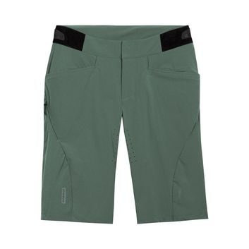 GORE FERNFLOW Shorts Mens slate green