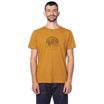 HANNAH LUKE spruce yellow