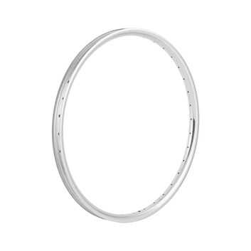 TREK Cruiser Go! 26" Rim, stříbrná