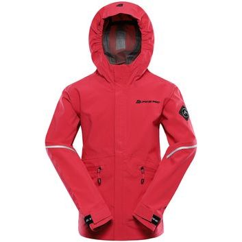 ALPINE PRO ZARRO raspberry