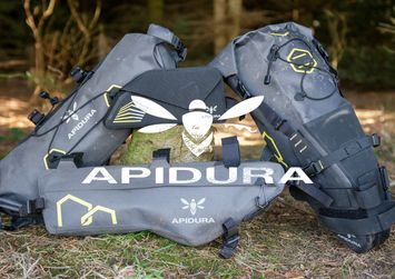 Apidura