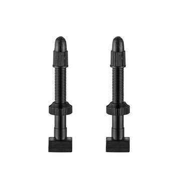 GIANT TUBELESS VALVE STEMx2 FOR 42MM HIGH PROFILE RIM