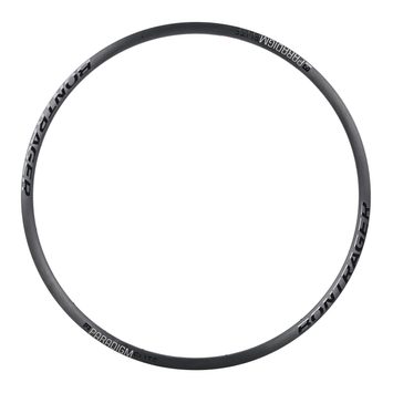 BONTRAGER Paradigm Elite Disc 700C 24H Antrhacite/Black