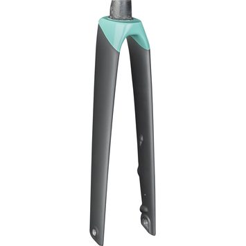 TREK Madone SLR Disc WSD 56 Black/Miami Green 310mm, 40mm