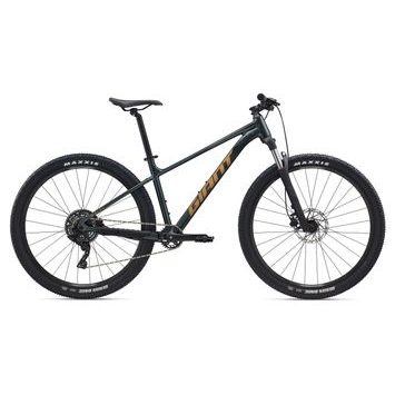 GIANT Talon 29 2 Asphalt Green