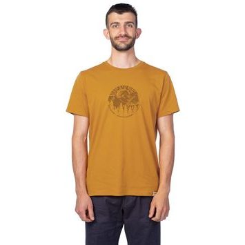 HANNAH LUKE spruce yellow