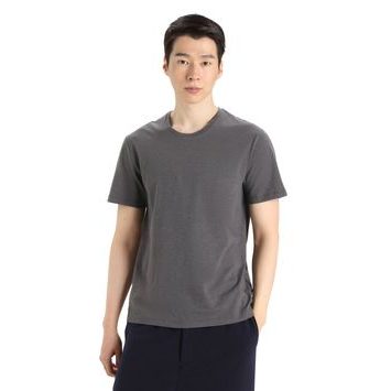 ICEBREAKER M Central Classic SS Tee MONSOON