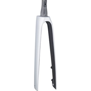 TREK Madone SLR 40R Smooth Silver 310mm, 40mm