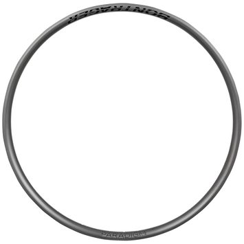 BONTRAGER Paradigm Disc 700C 24H Black
