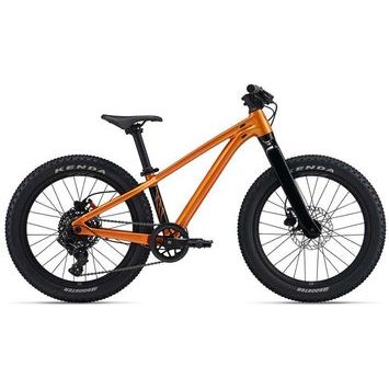 GIANT STP 20-One Size Metallic Orange