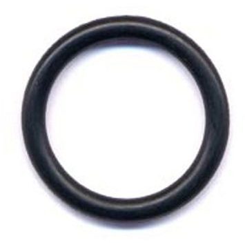 MSR FUEL BOTTLE STV PMP O-RNG