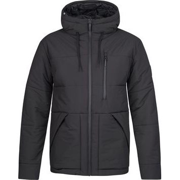 HANNAH DALON black beauty