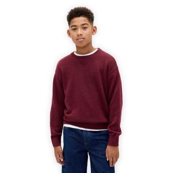GAP 819221-02 Dětský svetr Červená
