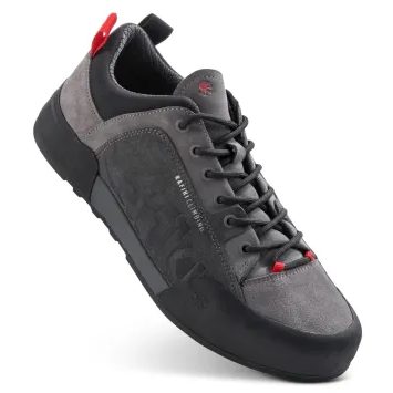 RAFIKI MASSI M, brindle/magnet