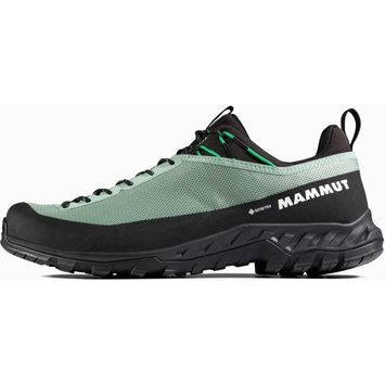 MAMMUT Alnasca IV LowTX Men deep silver sage-pinea