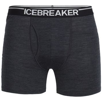 ICEBREAKER M Anatomica Boxers wFly JET HTHR